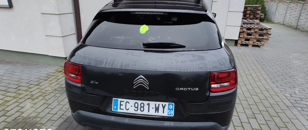 Citroen C4 Cactus cena 24250 przebieg: 219966, rok produkcji 2016 z Brok małe 407